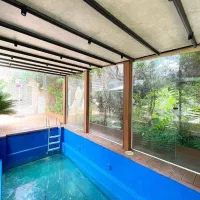 جنگلی اقساط قدیمی معاوضه با خودرو امیر آباد|فروش زمین و ملک کلنگی|نور, |دیوار