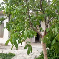 فروش خانه ویلایی