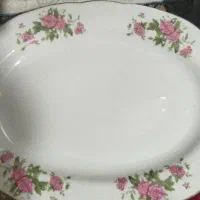 دو عدد دیس چینی