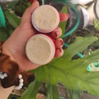 ضدلک ضدجوش قوی|آرایشی، بهداشتی، درمانی|لامرد, |دیوار