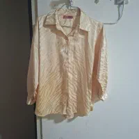 پالتو مانتو وغیره|لباس|شیراز, زند|دیوار