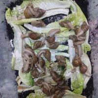 حلزون اچاتینا، خاک، خاویار