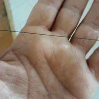 تورماهیگیری. سهره . سالیک . تورهوایی|ماهیگیری|رشت, آزادگان|دیوار