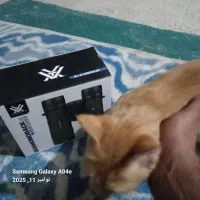 دوربین ۱۰ در ۴۲  اصل ورتکس|کوهنوردی و کمپینگ|خورموج, |دیوار