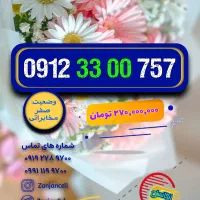 بیزینسی 0912.142.62.73 پلمپ خشک|سیمکارت|زنجان, |دیوار