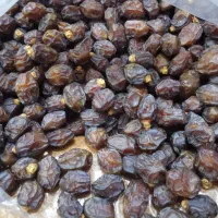 خرید فروش خرما