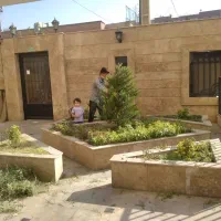 هرس درخت شمشاد خدمات باغبانی آذری|خدمات باغبانی و درختکاری|تهران, صادقیه|دیوار