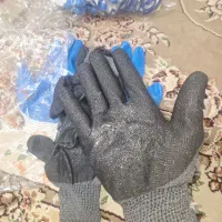 تولیددستکش|عمده‌فروشی|قم, نخودی|دیوار