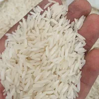 برنج طارم استخوانی/ خالص ایرانی / رستوران ها