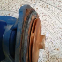 تعمیر ونصب پمپ آب ،شیر آلات توالت فرنگی درمحل|خدمات پیشه و مهارت|تبریز, |دیوار