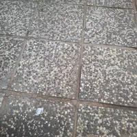 مدارک گمشده