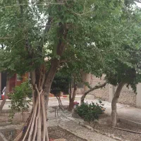 خانه ویلایی دربست|اجارهٔ خانه و ویلا|اصفهان, اصفهانک|دیوار