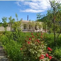 اجاره روزانه ویلا در کلیبر