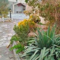 باغ ویلا|اجارهٔ کوتاه‌مدت ویلا و باغ|تربت‌حیدریه, پائین ولایت|دیوار