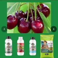 فروشگاه کود آلی ارگانیک سبوسیب کروا افزایش باردهی