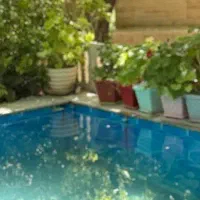تور گردشگری