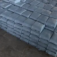 علوفه ذرت خوراک دام دزفول