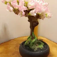 درختچه تزئینی|گل مصنوعی|تهران, توحید|دیوار