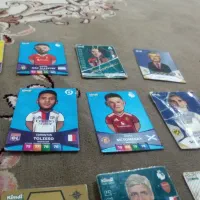 انواع کیمدی