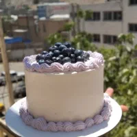 کیک|خوردنی و آشامیدنی|آشخانه, |دیوار