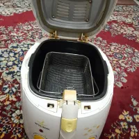 سرخ کن سالم با تمام امکانات