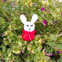 آویز خرگوش ناز