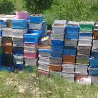 جعبه زنبور عسل