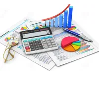 نیروی حسابدار