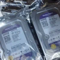 هارد500وسترن بنفش