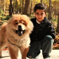 عکاسی کودک فضای باز