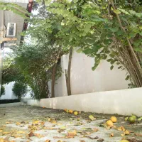 اجاره ویلا باغ تربلکس قو سفید مسیر رشت به تهران|اجارهٔ کوتاه‌مدت ویلا و باغ|رشت, لاکان|دیوار