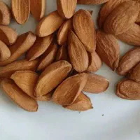 تخمه و مغز بادام بو داده تازه با فروش عمده و خرده|خوردنی و آشامیدنی|اصفهان, بهارستان|دیوار