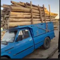 هرس کردن چوب خشک و تر و میوه ای صنوبر