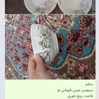 ظروف چینی نو