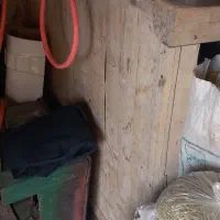 سلام کرسی
