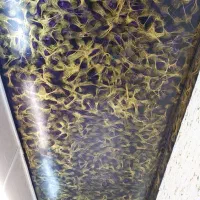 استخدام نیروی کار نقاشی