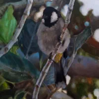 نقاشی رنگ روغن
