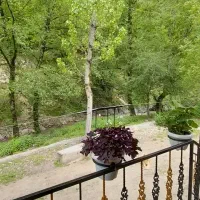 ویلا-در-دل-زیبایی
