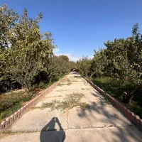 باغ ویلا ۲۲۴۵ متر سند تکبرگ عرصه واعیان درکردزار|فروش دفتر صنعتی، کشاورزی، تجاری|شهریار, کردزار|دیوار