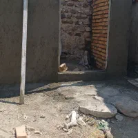 گچ کار