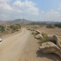 فروش ۲ هکتار زمین کشاورزی با چاه آب نزدیک خیابان|فروش دفتر صنعتی، کشاورزی، تجاری|میناب, |دیوار