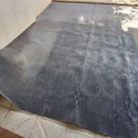 پالاز موکت