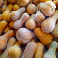 کدو حلوایی شیرین