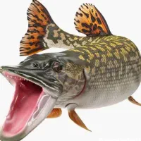 تور دیواری ماهیگیری