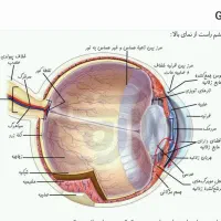 کتاب کنکور تجربی