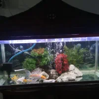 آکواریوم کامل با همه ای تجهیزات