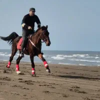 اسب کرد .دره شور