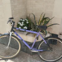 دوچرخه سایز ۲۶