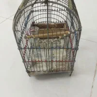 قفس‌قدیمی‌دست‌بافت|صنایع دستی و سایر لوازم تزئینی|قهدریجان, |دیوار