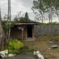 ۲۵۰ متر زمین در روستای سلاکجان(واجارگاه)|فروش زمین و ملک کلنگی|واجارگاه, |دیوار